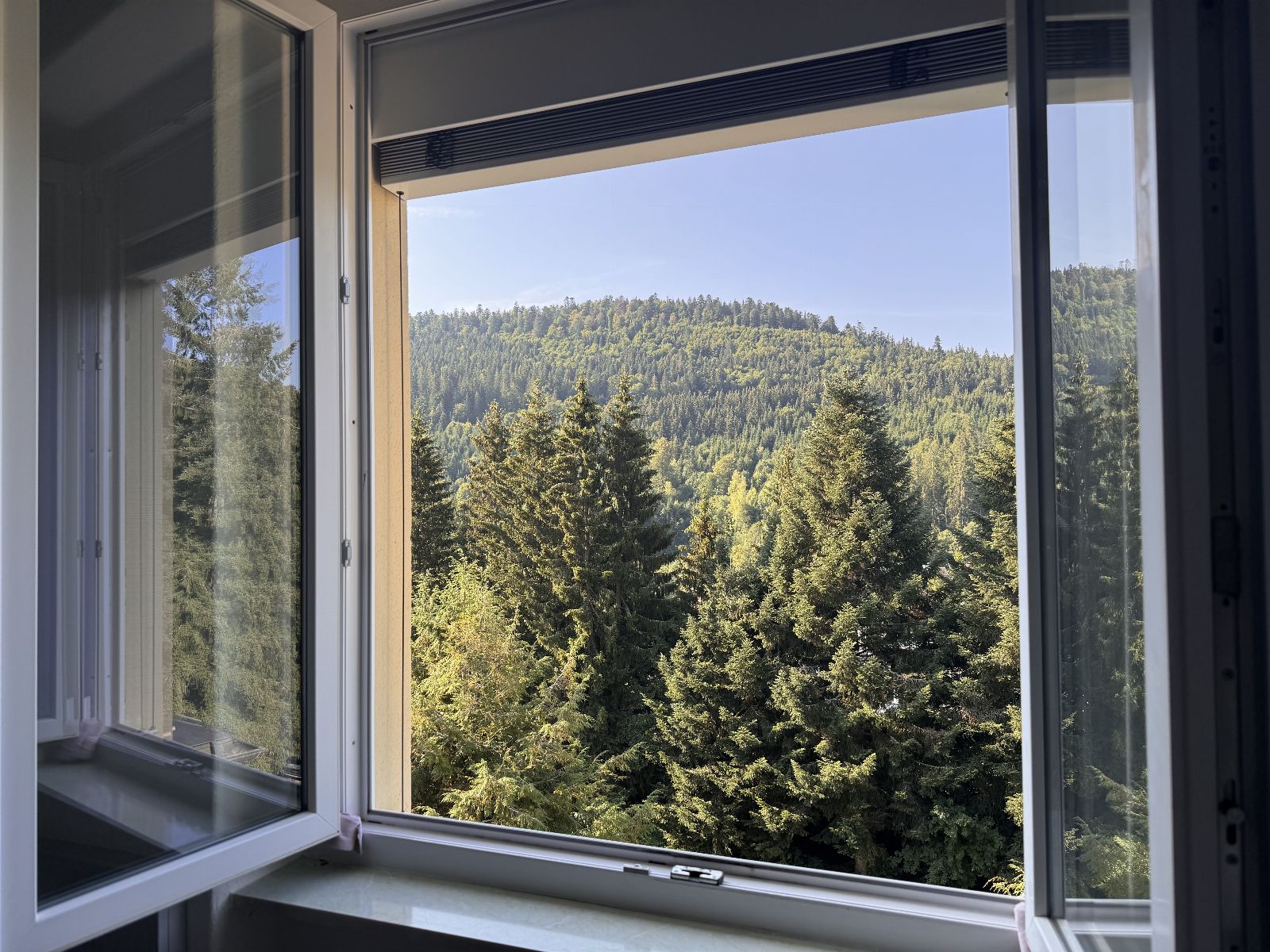Blick aus dem Fenster einer Therapeutenkabine der Feldbergklinik auf die bewaldeten Schwarzwaldberge